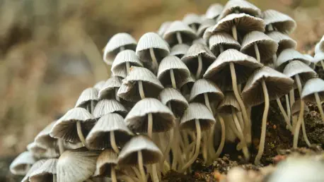 Can Mushroom Genetics Revolutionize Sustainable Materials?