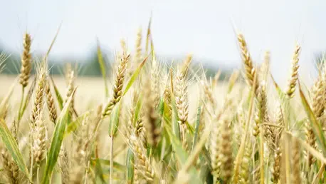 Can Grain Imports Save Nigeria or Harm Local Farmers?