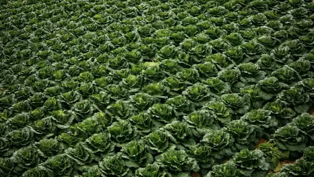 Sustain Sudan Project Launches to Revive Farming Amid Crisis