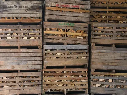 What Are the Latest Trends in UK Timber Imports for 2025?