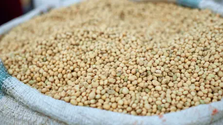 Deep-Rooted Soybean Engineering – Review