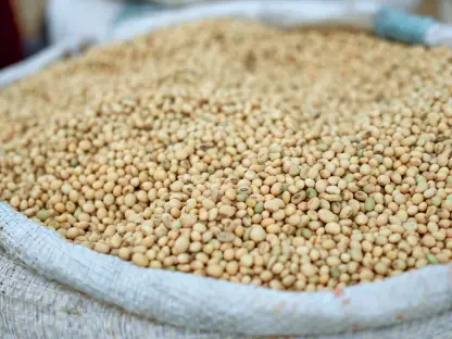 Deep-Rooted Soybean Engineering – Review